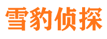 沙湾区调查公司